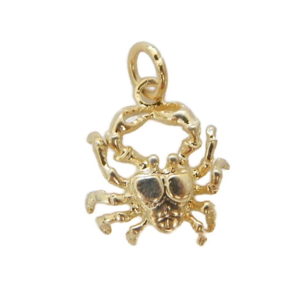 14K Yellow Gold Cancer Horoscope Zodiac Sign.